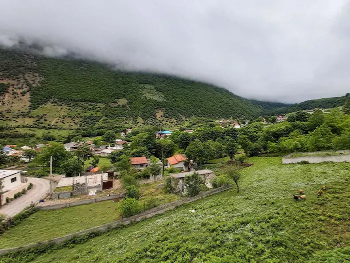 نمایی از پوشش گیاهی سرسبز و بکر روستای لاویج در محمودآباد 54545415321