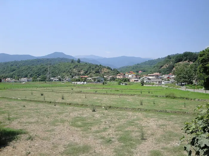 زمین ها و طبیعت سرسبز روستای زرگر آمل 456565656