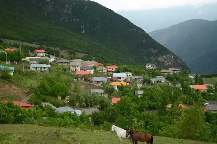 اسب های زیبا در دل طبیعت سبز روستای لاویج 5645654655665