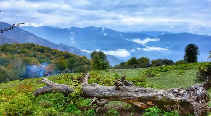 سبزینگی ارتفاعات روستای الیمستان آمل 2143543540435