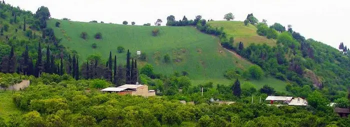 جنگل های سرسبز در کنار خانه های مسکونی روستای کلوده 4557654