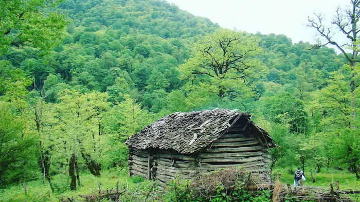 کلبه چوبی در روستای سرسبز با درختان انبوه در بونده 47584365438